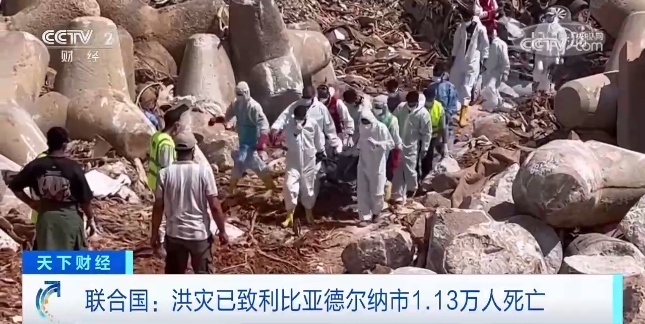 澳盘全胜一击